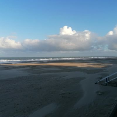 LucVB1's profile picture. 