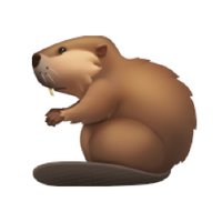 Caastor (@caastor_nocode) 's Twitter Profile Photo