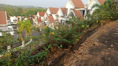 Cryptodevoteee's profile picture. Meme maker Crypto.lover