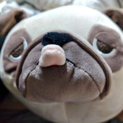 食パンの耳さんのプロフィール画像