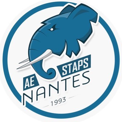 AE STAPS Nantes
