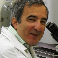 Shai Izraeli (@shaiizraeli) 's Twitter Profile Photo Shai Izraeli (@shaiizraeli) 's Twitter Profile Photo