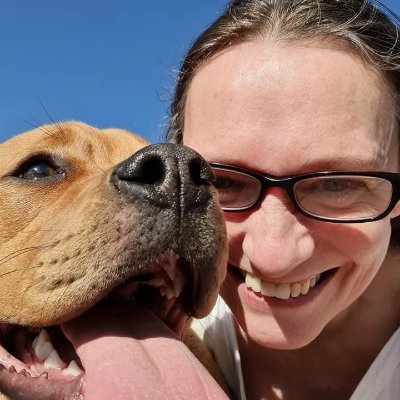 elliesIreland's profile picture. Traveling around Ireland in my Camper Van with my Bull Dog Sienna..... Follow My Adventures! 
#Ireland #VanLife #CamperVan #Doglovers