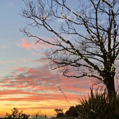 suzib001's profile picture. 