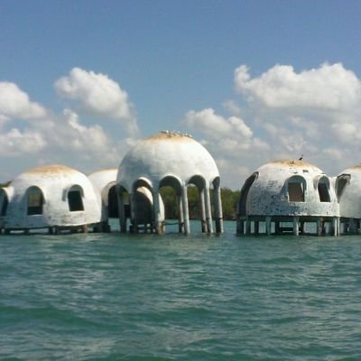 llioness66's profile picture. small buisness owner..patriot..happily married..WILL NOT ANSWERE DM'S..Not in it for that! GOT IT! Our country is our country. Fight to keep it!