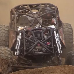 BrunoBmcm's profile picture. -Portuguese #Hexican 
-5555 staker 
-Creator of the following accounts : @1000hex @1000Hex4PLXSac @1000HexOnPls @PLS_Archive