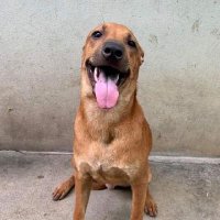 R (@biancarominab) 's Twitter Profile