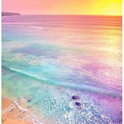 24159other's profile picture. 