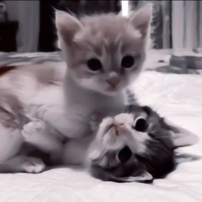 faronebey's profile picture. naega byenhae