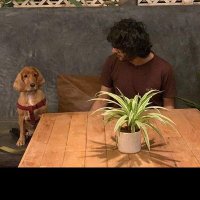 Ankit 🦙 on X: Bumblebee & Tycoons, Indiranagar - I've been told they are  both pet friendly, but haven't been to either. Do comment about your  experience if you go with your
