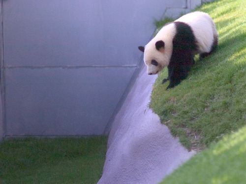 G_MidoRi's profile picture. “衣食住”が充実してれば幸せヾ(・ε・。) ぱんだ/サッカー観戦/お笑い/porno grafitti/ファッション(KBF apart by lowrys etc...)/ドラマ/手作り時計/写真/カフェ/コンビニ/食べ物なんでも♫（主に海鮮） 気軽にフォローしてください( ´ ▽ ` )ﾉ