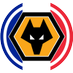 Wolves France 🐺🇫🇷 (@WolvesActu) Twitter profile photo