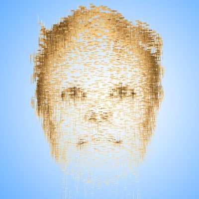NFT artist based in NYC. I seek form by using computer programming. I use scripts to manipulate structure. I harvest randomness from nature.