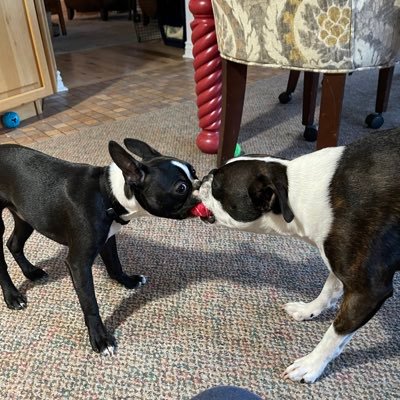 crguy93's profile picture. an American.definitely NOT a republican