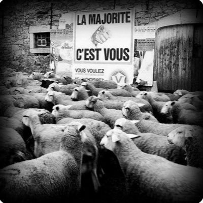 dns_st's profile picture. Rap