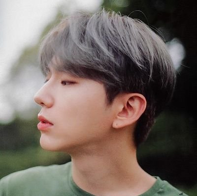죽은 자의 트윗