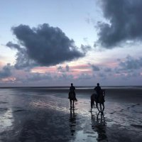 SJ💎 (@__d73x) 's Twitter Profile