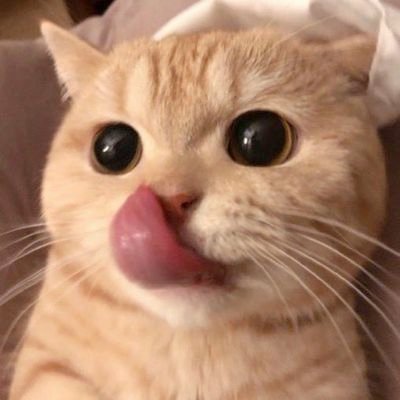 そるてぃさんのプロフィール画像