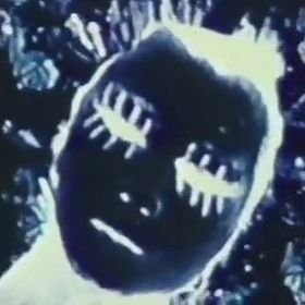 Dime dulces sueños
https://t.co/ACLIVtTt3Q
when the lights go out neon lights appear