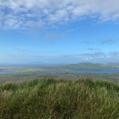 Buy land 🐑, Seed it 🌱, Walk away 🌳 

Creating and connecting new hotspots of biodiversity in Ireland