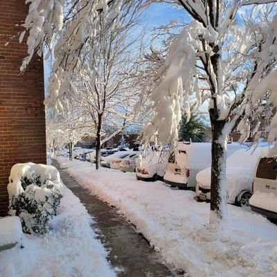 JoyceWo44688042's profile picture. 