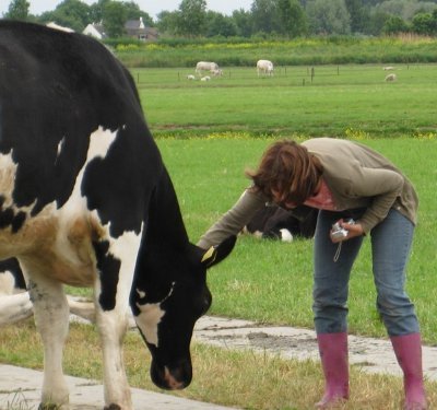 Onbekende Nederlander, boekenlezer, muziek, natuurliefhebber en vega. Geboren Fries #bandejacht