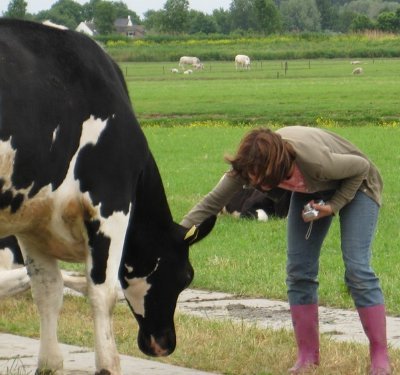 Onbekende Nederlander,  boekenlezer, muziek, natuurliefhebber en  vega. Geboren Fries #bandejacht