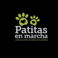 Patitas en Marcha(@PatitasAsoc) 's Twitter Profile Photo