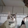 Osmar30533851's profile picture. 