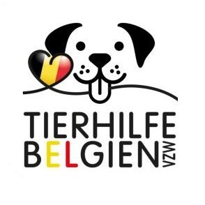 Infos und Vermittlungstiere der Tierhilfe Belgien VZW.
Wir kämpfen gegen das Leid der Vermehrer Hunde in Belgien, wo Welpenfabriken immer noch legal sind.