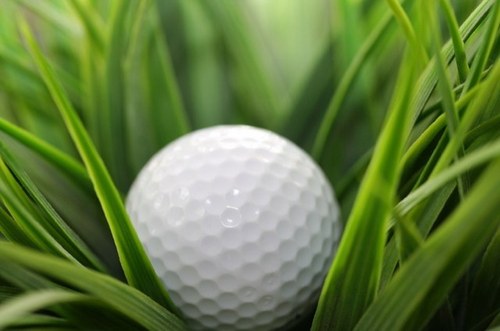 migolfguides's profile picture. 