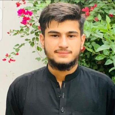 Fronted Web Developer
HTML. CSS. JavaScript. Learning and building website.