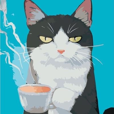 masha_nikit's profile picture. 