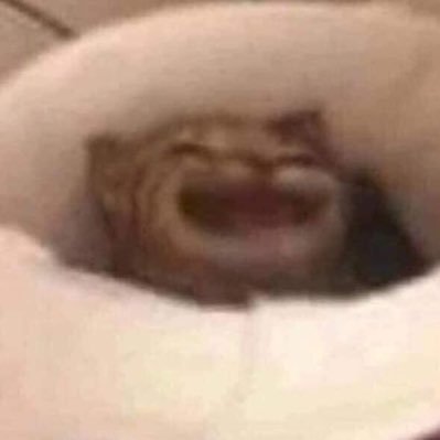 Wz5FiU0tgHpLVKP's profile picture. 💕คัตเด/โทโดเดกุ คาเงฮินะ allฮินะ โกโจยูจิ 💕