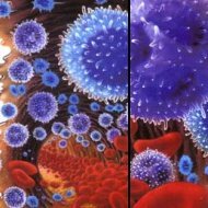 PaulNFTKing's profile picture. 