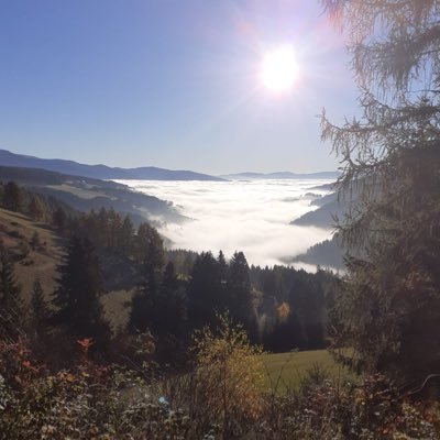 8dominik1997's profile picture. 