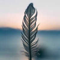 Niky (@niky43384197) Twitter profile photo