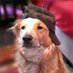 kayla decode talker (@gematria_k) Twitter profile photo kayla decode talker (@gematria_k) Twitter profile photo