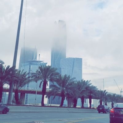 YAZEED_ALNASR's profile picture. 