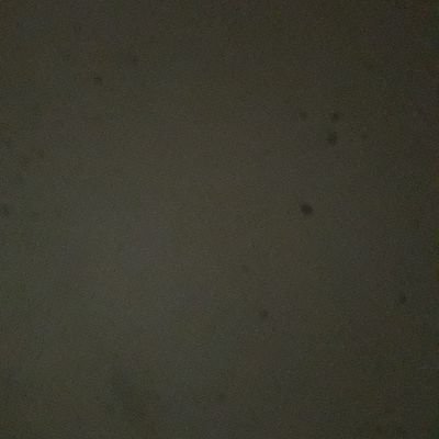 zoomG58344015's profile picture. Hi