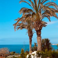 Paper Hands Dad (@paperhandsdad) 's Twitter Profile