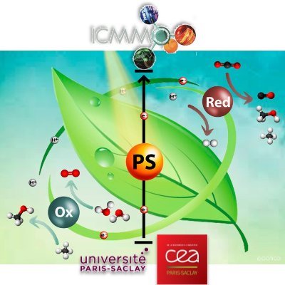 We implement molecular chemistry that captures light energy to achieve the catalysis of multi-electronic chemical transformations.