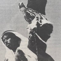 خيّال القروا . (@4jrrz) Twitter profile photo