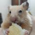 Rosi (@rosiiii07) Twitter profile photo Rosi (@rosiiii07) Twitter profile photo