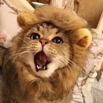 fuck_pisey's profile picture. Too lazy