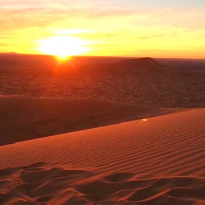 Reflections on the richness of the desert - inside us and outside.