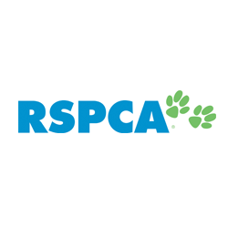 RSPCA Australia is the national office of the RSPCA in Australia. https://t.co/xvfRfDY2Kg