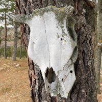 guslasenda (@guslasenda) 's Twitter Profile Photo