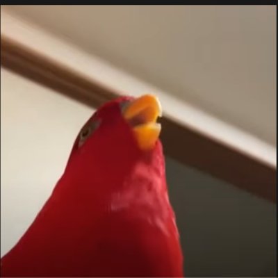 just someone who loves birds,mecha, music, cute art, gun waifus and dumb memes. i like retweeting cute art or cool stuff. got a small youtube channel for fun.