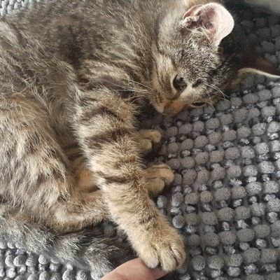 Mina3883507512's profile picture. Cogito ergo šuma!